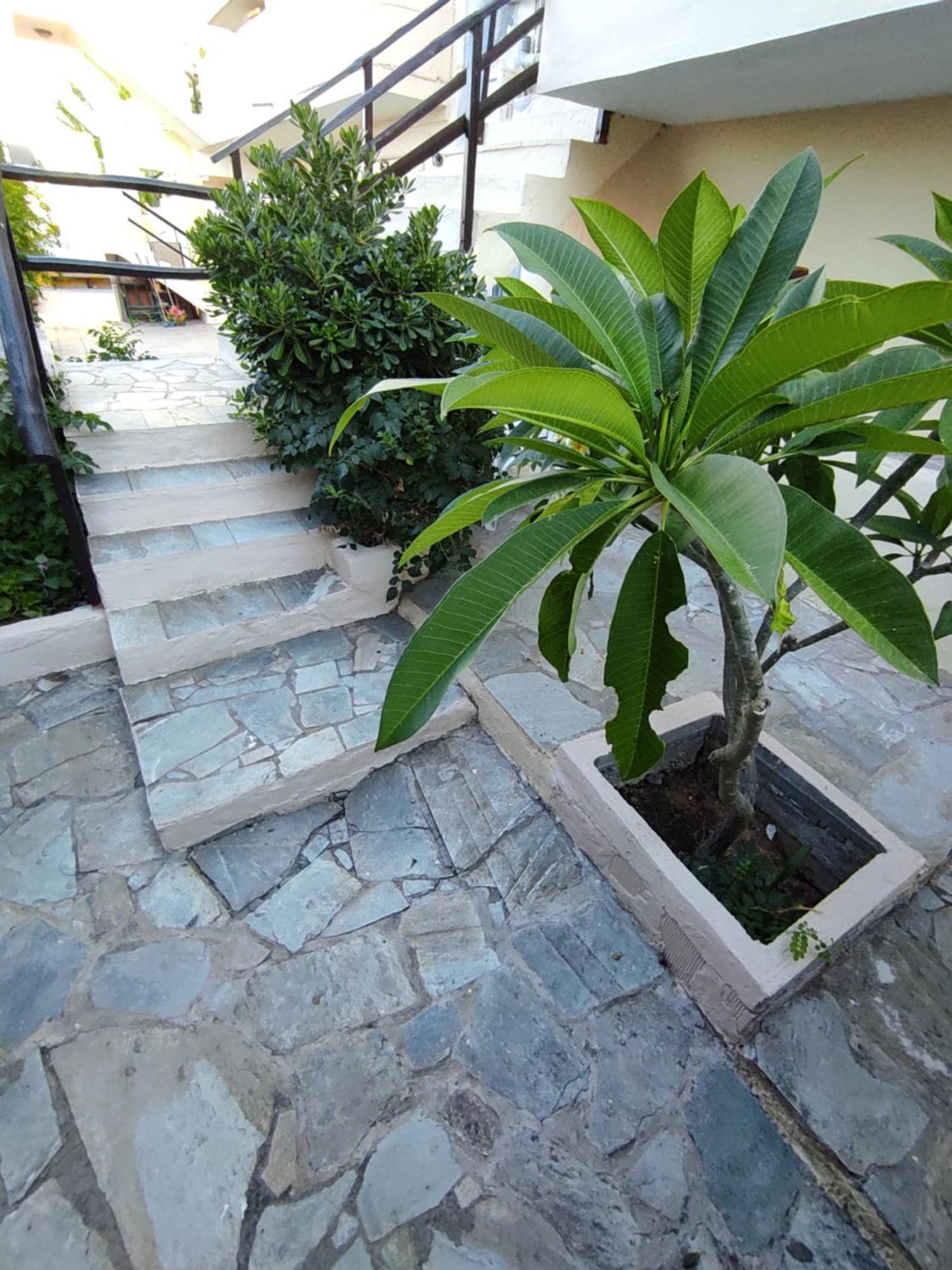 Stalida Dedalos N3 Sea View Apartment-30 Metres From The Beach מראה חיצוני תמונה
