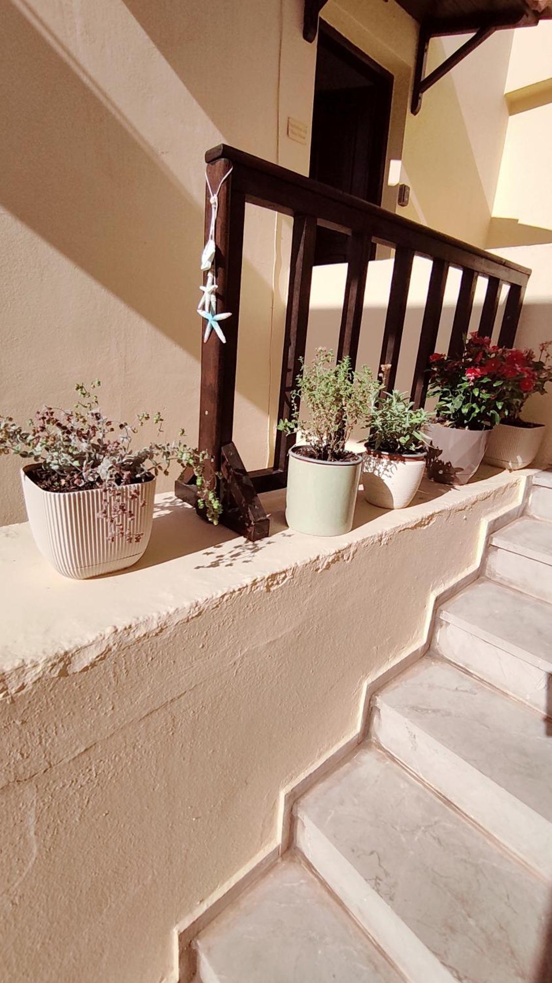 Stalida Dedalos N3 Sea View Apartment-30 Metres From The Beach מראה חיצוני תמונה