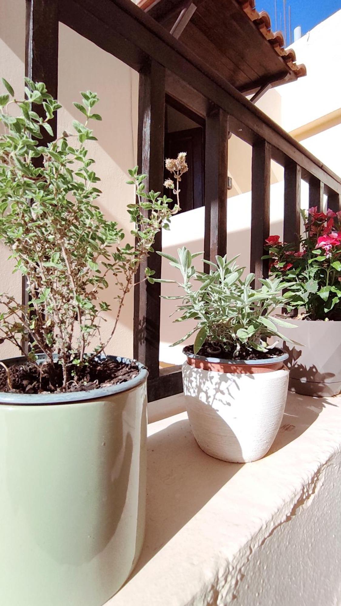 Stalida Dedalos N3 Sea View Apartment-30 Metres From The Beach מראה חיצוני תמונה